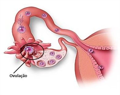 Posso tomar indux com Menstruação desregulada??