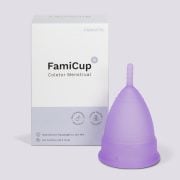 FamiCup